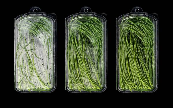 Photograph Mark Wiens Chives Packages on One Eyeland